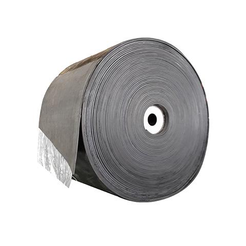 Steel cord conveyor belt